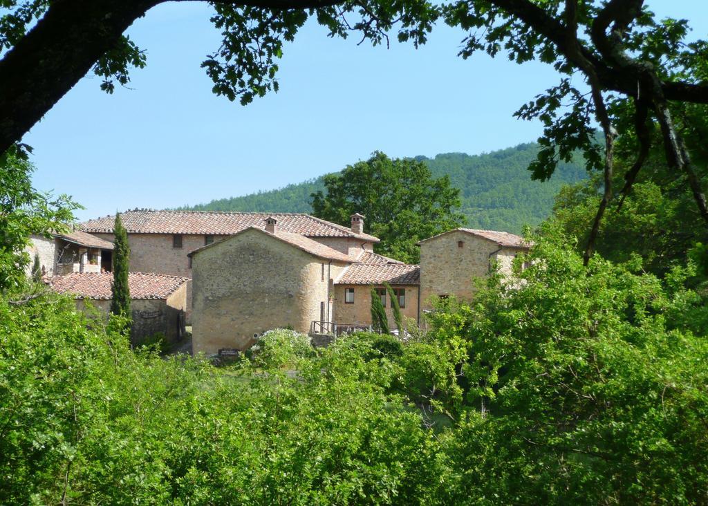 Agriturismo Colli Di Travale Montieri Δωμάτιο φωτογραφία